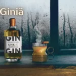 Giniä